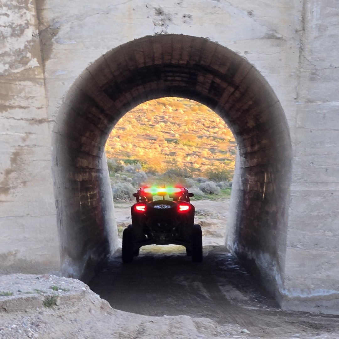 RLB Chase light 36" on Polaris Pro R 2025